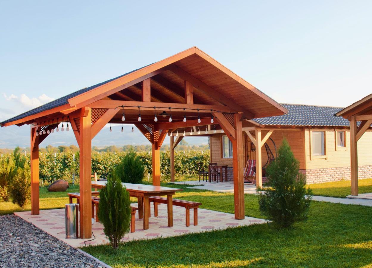Finca Idoize Camping Hotel Akhmeta Εξωτερικό φωτογραφία