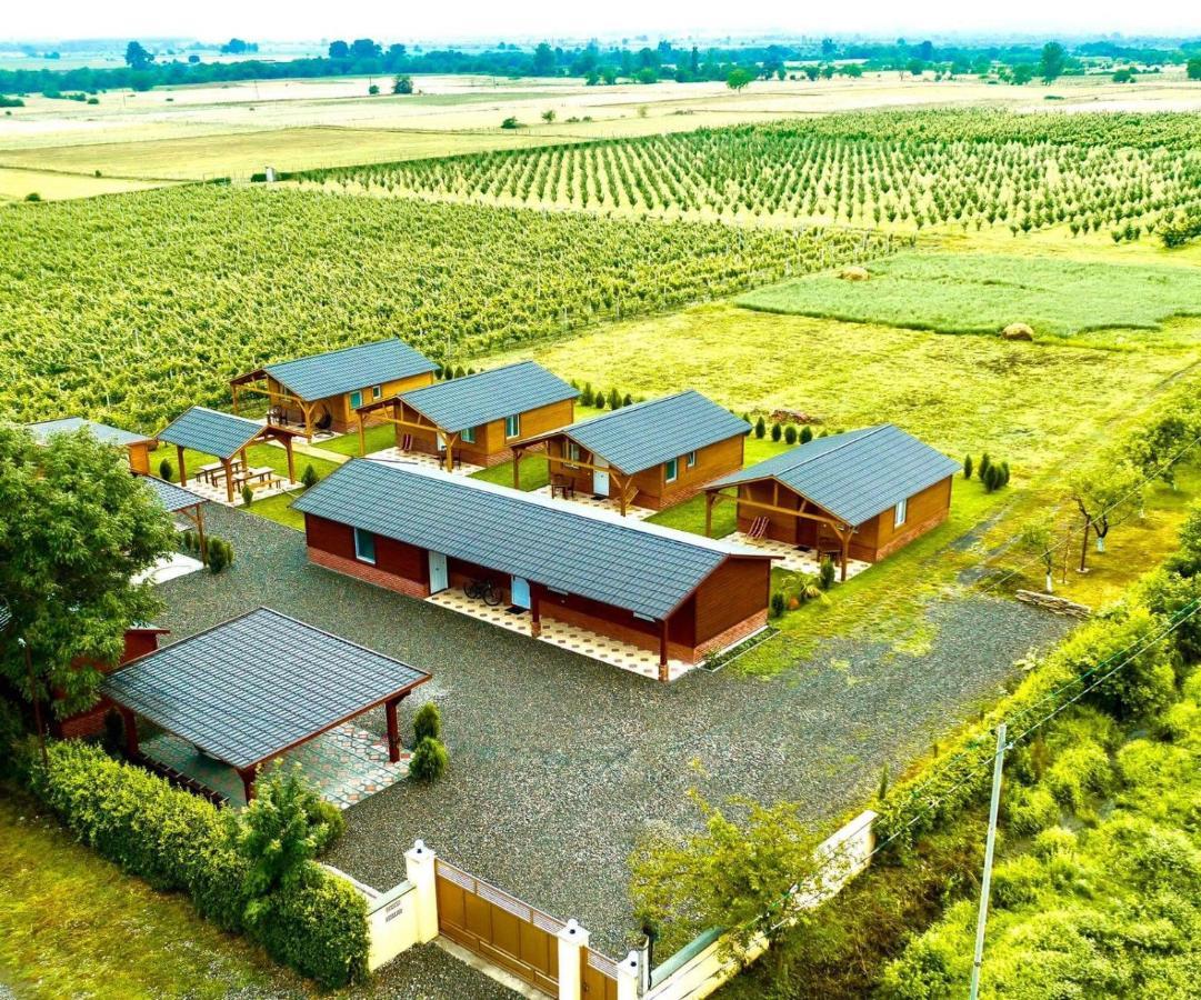 Finca Idoize Camping Hotel Akhmeta Εξωτερικό φωτογραφία