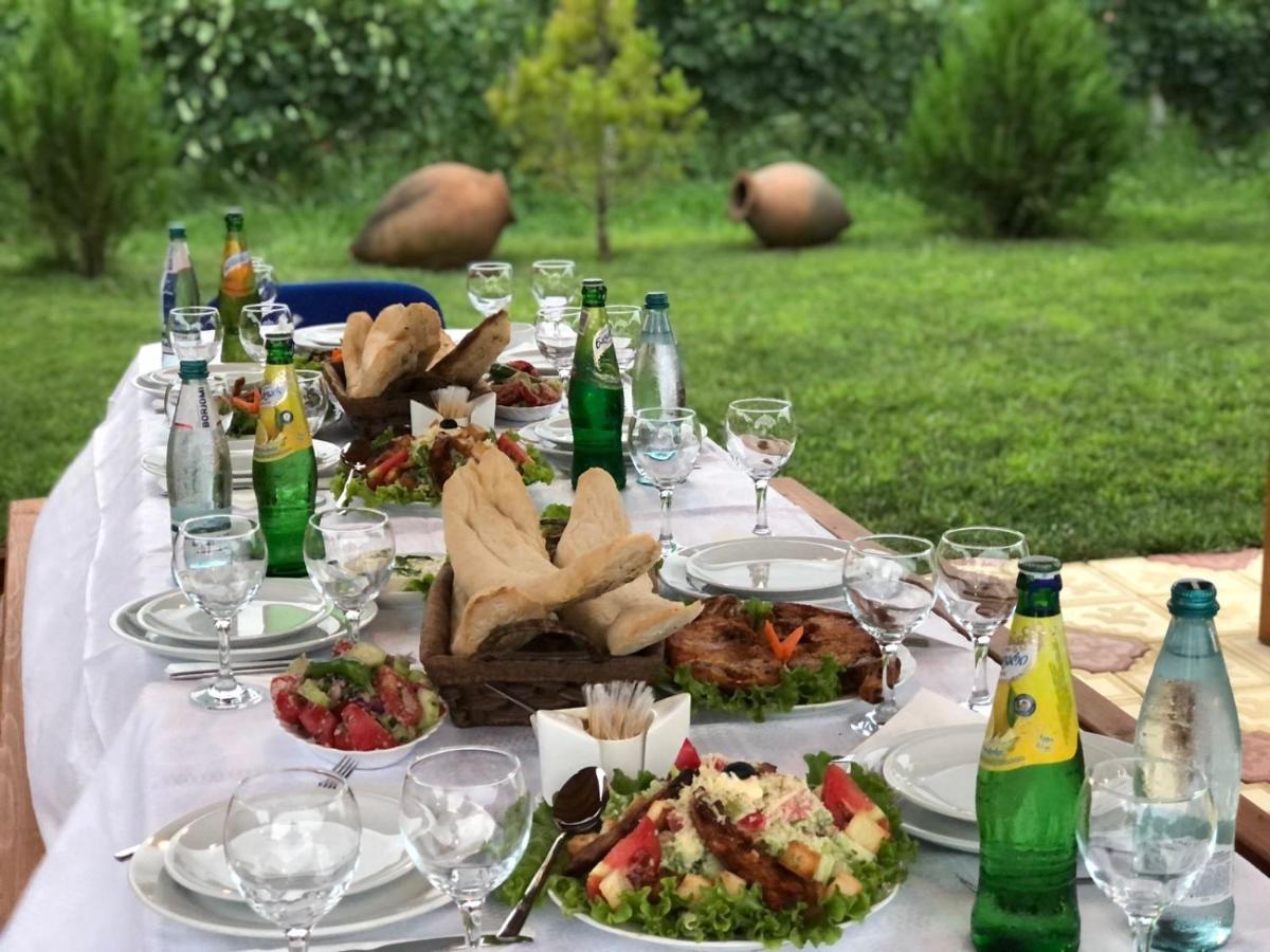 Finca Idoize Camping Hotel Akhmeta Εξωτερικό φωτογραφία