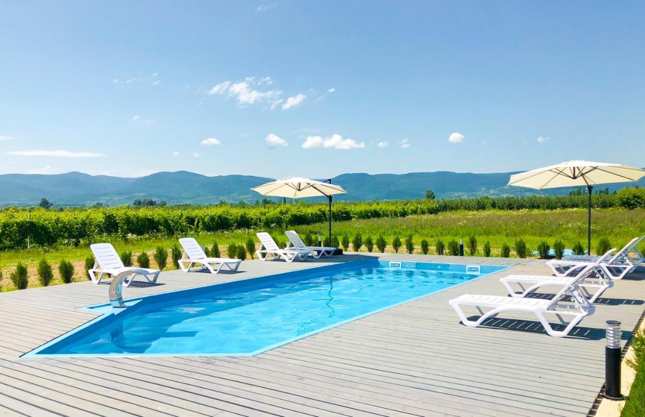 Finca Idoize Camping Hotel Akhmeta Εξωτερικό φωτογραφία
