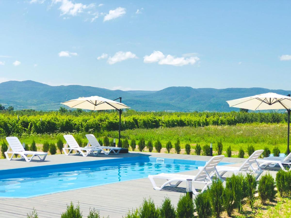 Finca Idoize Camping Hotel Akhmeta Εξωτερικό φωτογραφία
