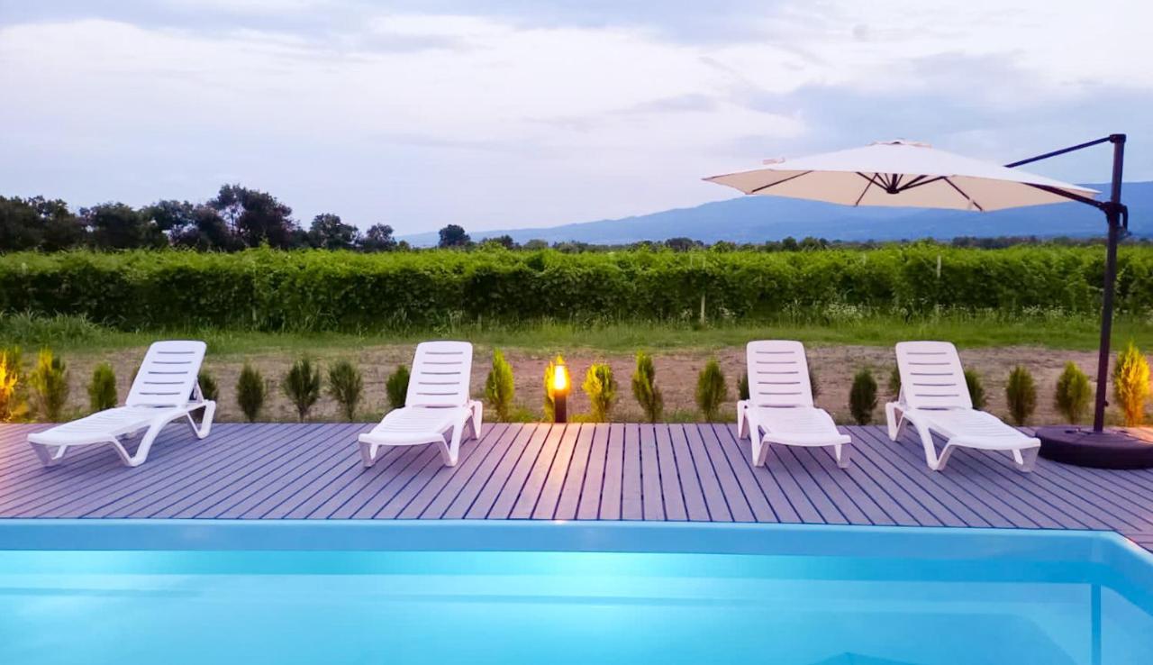 Finca Idoize Camping Hotel Akhmeta Εξωτερικό φωτογραφία
